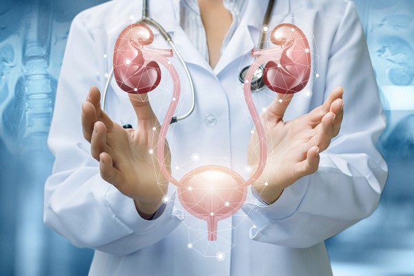 Imagem da especialidade Urologia
